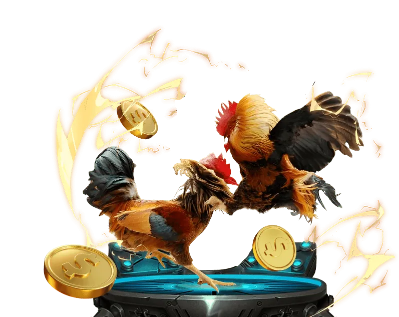 Bắn Cá Soi Kèo Nhà Cái 88